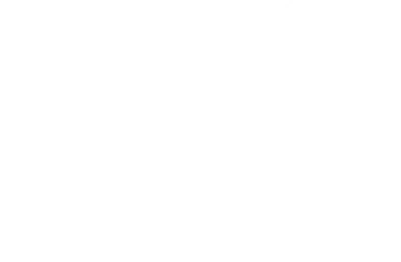 Sam and Lee's Restaurant — dragon logo